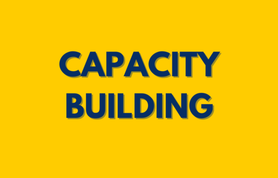 capacity building